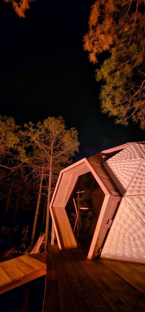 Entrada del domo geodésico iluminada de noche entre pinos